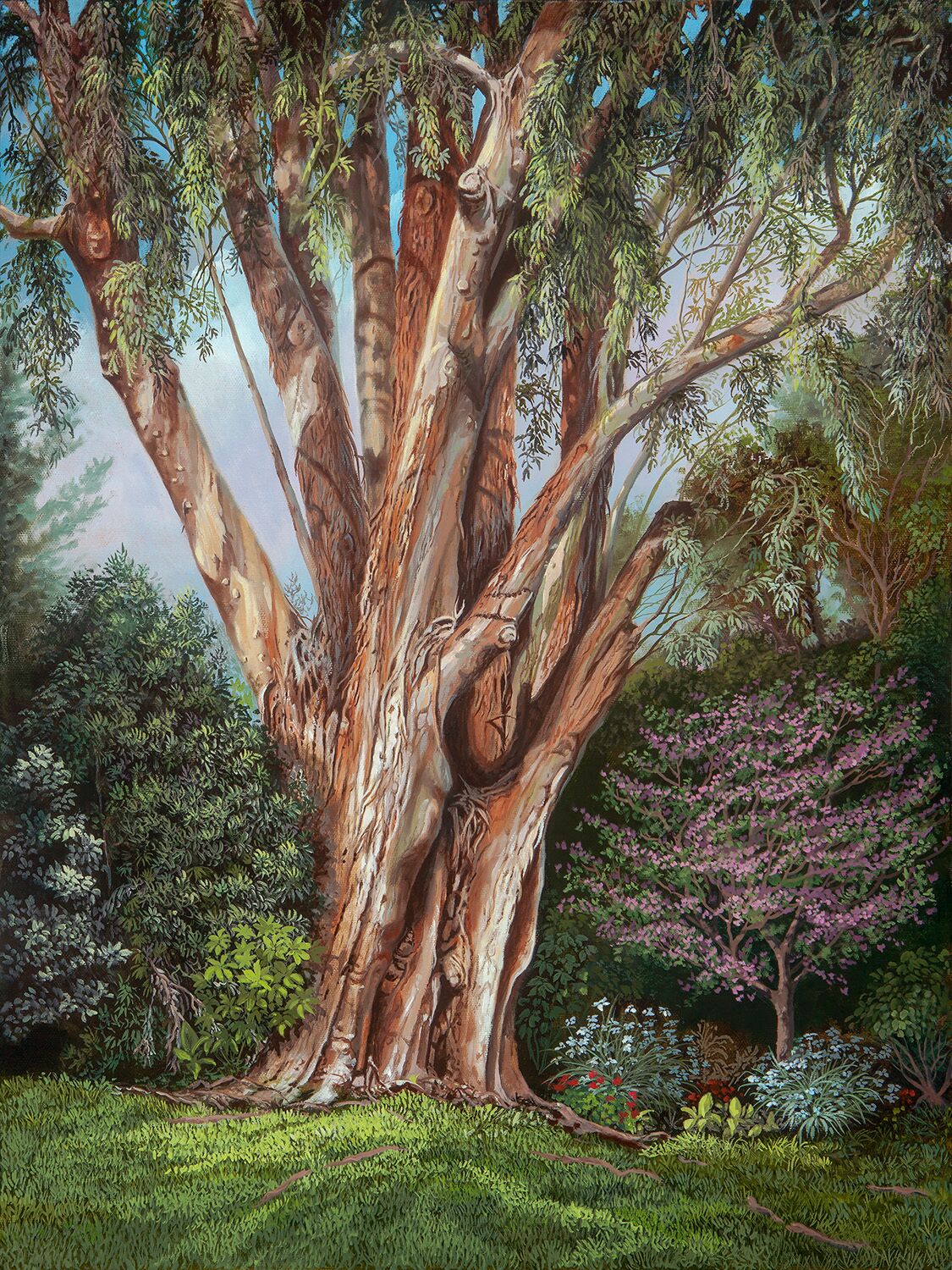 Northridge Eucalyptus (Oil)
